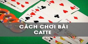 Cách chơi bài sắc tê cơ bản cho tân thủ