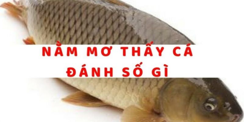 Con số may mắn liên quan